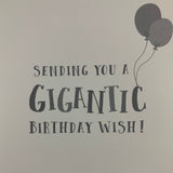 Birthday Fun Elephant Baloons Card and Envelope