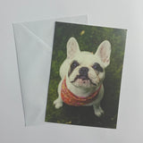 Dogs Set of 8 Notecards (2 Styles)