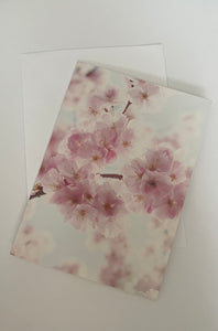 Cherry Blossom Gift Card